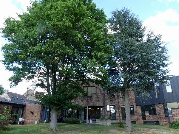 Home Jean Renard-Rusthuis-Grez-Doiceau-Opération florale 065.JPG