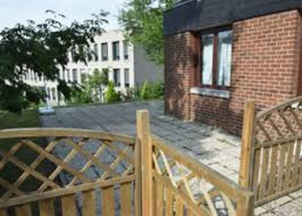 De Zonnebloem-Dagcentrum-Sint-Agatha-Berchem-Tournesol 02.jpeg