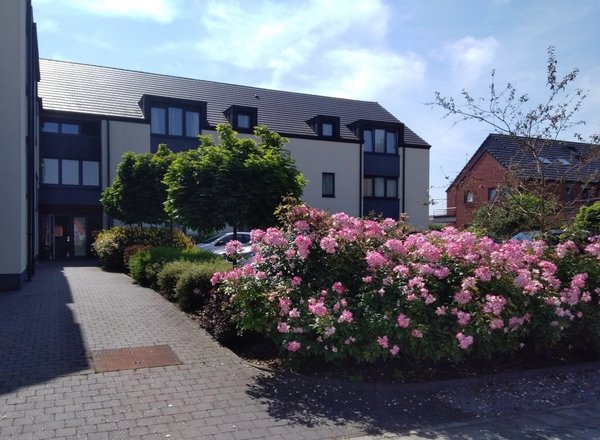 Champ de Saucy-Serviceflat-Frasnes-lez-Gosselies-champ saucy 3.jpeg