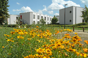 R&eacute;sidence Les Eglantines-Résidence services-Neder-over-Heembeek-Eglantines_47_2.png